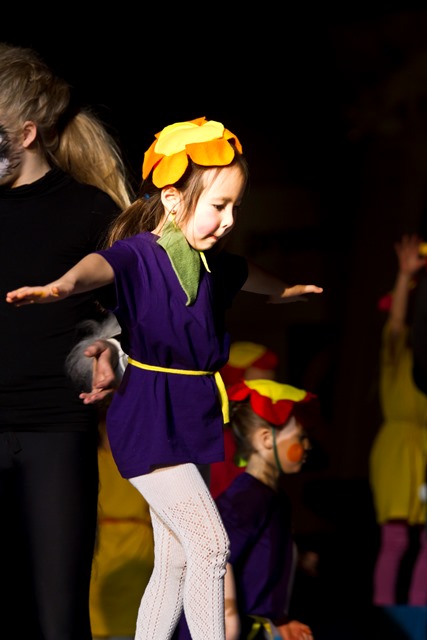 Jólasýning 2014 - vefur (5)