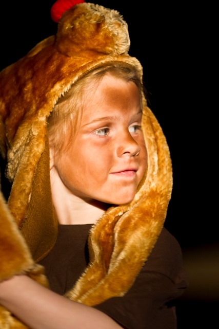 Jólasýning 2014 - vefur (2)
