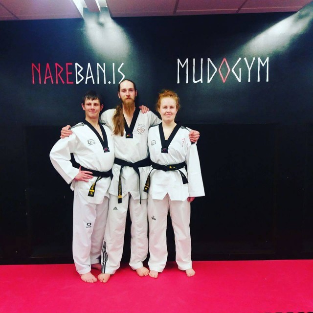 taekwondo-beltaprof