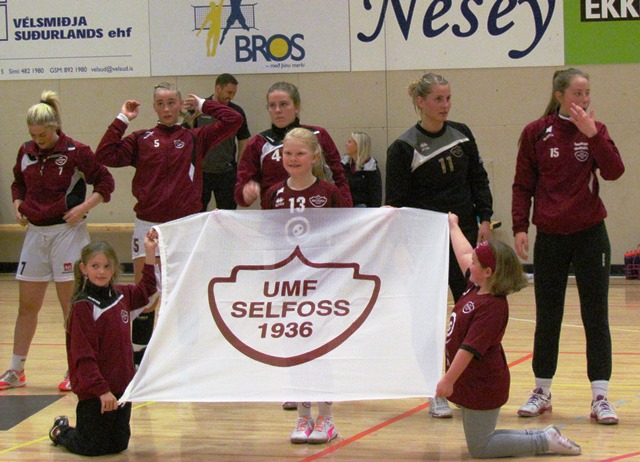 Handbolti S-FH Olísdeild - vefur