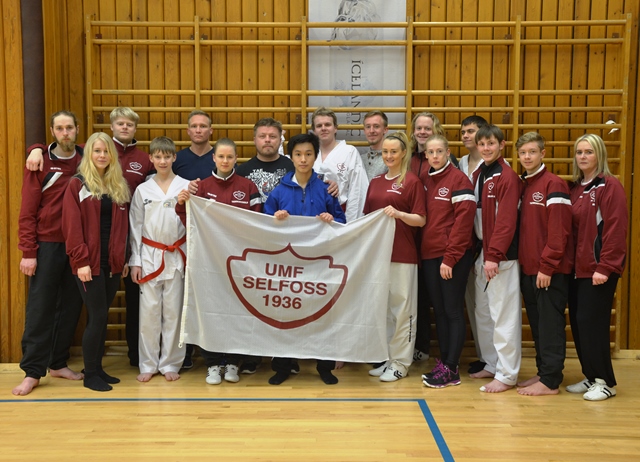 Taekwondo hópmynd - vefur