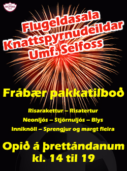 Flugeldar þrettandinn 2014
